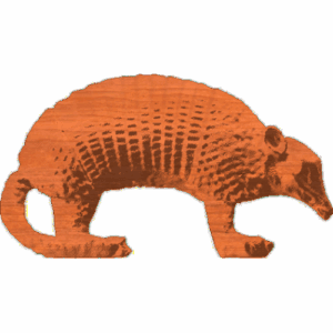 Armadillo